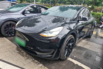 特斯拉 Model Y 2021款 标准续航后驱版