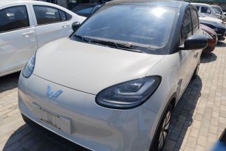 五菱汽车 五菱缤果 2024款 333km 悦享款