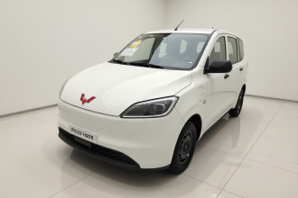 五菱汽车 五菱宏光新能源 2024款 纯电版 300KM 标准型