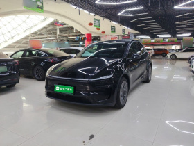 特斯拉 Model Y L 2025款 长续航全轮驱动版