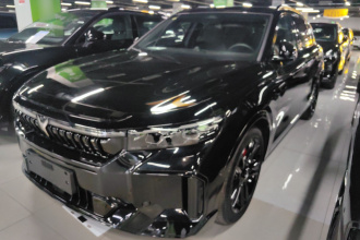 岚图汽车 岚图FREE 2025款 318 318km 后驱环游版