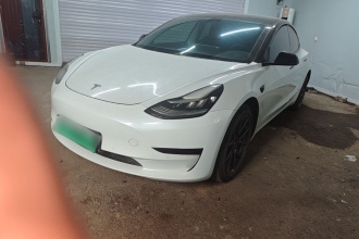 特斯拉 Model 3 2019款 标准续航后驱升级版