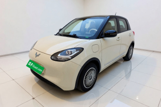 五菱汽车 五菱缤果 2024款 203km 轻享款