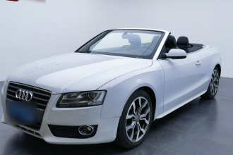 奥迪A5 2010款 2.0TFSI Cabriolet