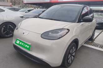 五菱汽车 五菱缤果 2023款 333km 灵犀互联+款