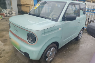 吉利银河 2024款 熊猫mini 200km 耐力熊