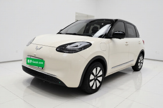 五菱汽车 五菱缤果 2025款 410km 灵犀尊享款