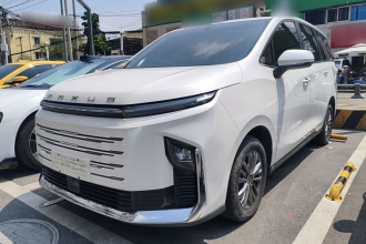 上汽大通MAXUS 大通G50插电混动 2025款 领航版