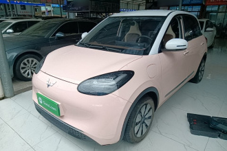 五菱汽车 五菱缤果 2023款 410km 灵犀尊享款