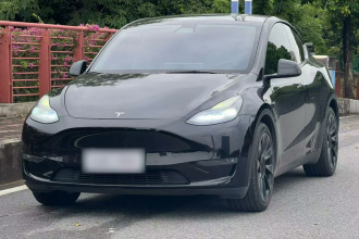 特斯拉 Model Y 2021款 标准续航后驱版