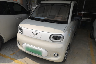 五菱汽车 宏光MINIEV 2024款 第三代 215km 青春版