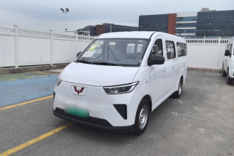 五菱汽车 五菱扬光 2024款 300km 舒适型客车版 75kW