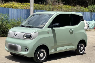 五菱汽车 宏光MINIEV 2024款 第三代 215km 青春版