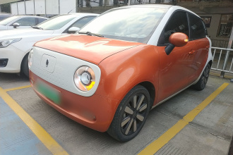 欧拉黑猫 2019款 351km 女神版