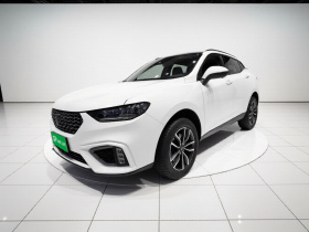 魏牌 VV5 2021款 1.5T 两驱智先锋