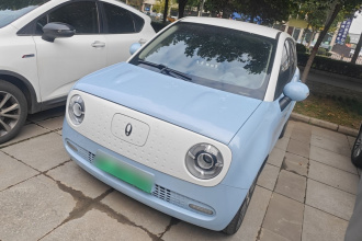 欧拉黑猫 2021款 351km 标准型