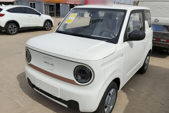 吉利银河 2024款 熊猫mini 200km 耐力熊