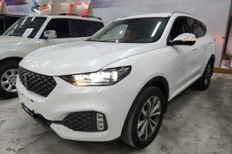 魏牌 VV6 2020款 2.0T 两驱智护+