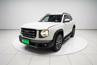 哈弗大狗 2021款 1.5T DCT两驱边牧版