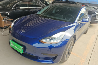特斯拉 Model 3 2019款 标准续航后驱升级版