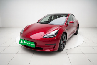 特斯拉 Model 3 2019款 标准续航后驱升级版