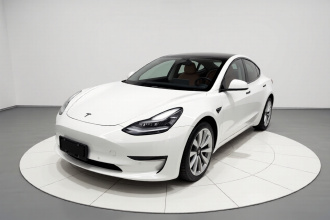 特斯拉 Model 3(进口) 2019款 长续航全轮驱动版