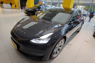 特斯拉 Model 3(进口) 2019款 Performance高性能全轮驱动版