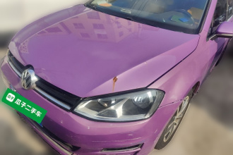 大众 高尔夫 2016款 230TSI 自动豪华型