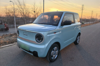 吉利银河 2024款 熊猫mini 200km 耐力熊