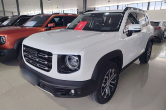 哈弗大狗 2021款 1.5T DCT两驱边牧版