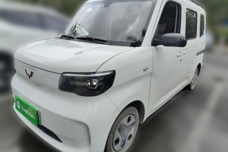 五菱汽车 五菱之光新能源 2025款 305km 进取型