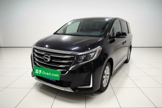 广汽传祺 传祺M8 2020款 领航款 390T 尊享版