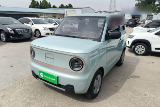 吉利银河 2023款 熊猫mini 200km 耐力熊