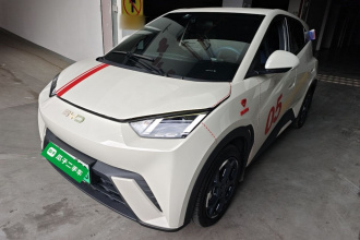比亚迪 海鸥 2024款 荣耀版 305km 自由版