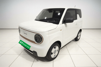 吉利银河 2023款 熊猫mini 200km 耐力熊