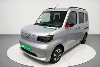 五菱汽车 五菱之光新能源 2025款 305km 进取型