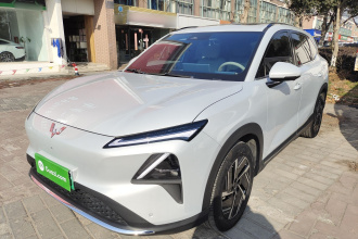 五菱汽车 五菱星光S 2024款 510km 旗舰型