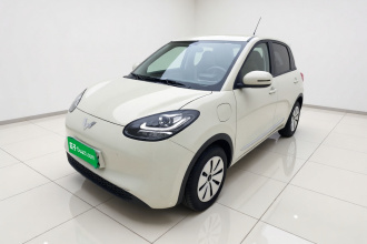 五菱汽车 五菱缤果 2024款 203km 轻享款