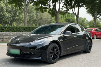 特斯拉 Model 3 2019款 标准续航后驱升级版