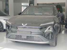 五菱汽车 五菱星光S 2025款 510km 旗舰型