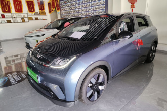 比亚迪 海豚 2024款 荣耀版 401km 骑士版