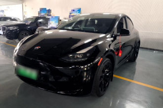 特斯拉 Model Y 2022款 后轮驱动版
