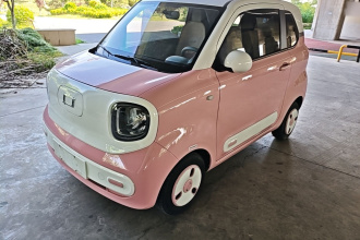 奔腾小马 2024款 170km 活力马