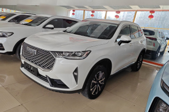 哈弗H6 2022款 第三代 1.5T 自动两驱Pro