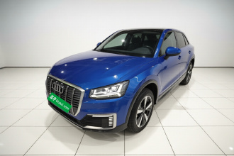 奥迪Q2L e-tron 2019款 Q2L e-tron 纯电智享型