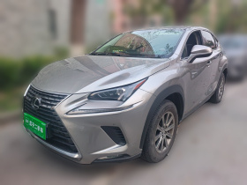 雷克萨斯NX 2020款 200 前驱 锋逸版 国VI