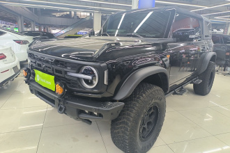 福特烈马 2024款 2.3T 荒地