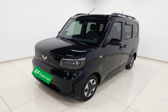 五菱汽车 五菱之光新能源 2025款 305km 进取型