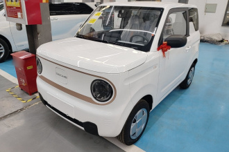吉利银河 2024款 熊猫mini 200km 耐力熊