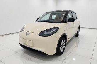 五菱汽车 五菱缤果 2025款 333km 悦享款
